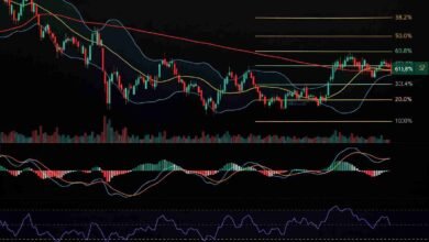 أفضل أدوات تحليل الأسهم