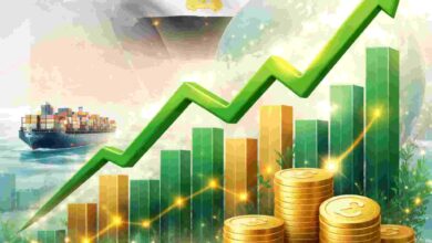 الأسهم المصرية بخصم 46% وفرصة صعود 23% مع تدفقات أجنبية