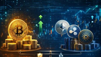 مقارنة بين عملة البيتكوين والعملات الرقمية الأخرى