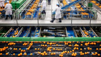 مبادرة دعم قروض القطاعات الصناعية