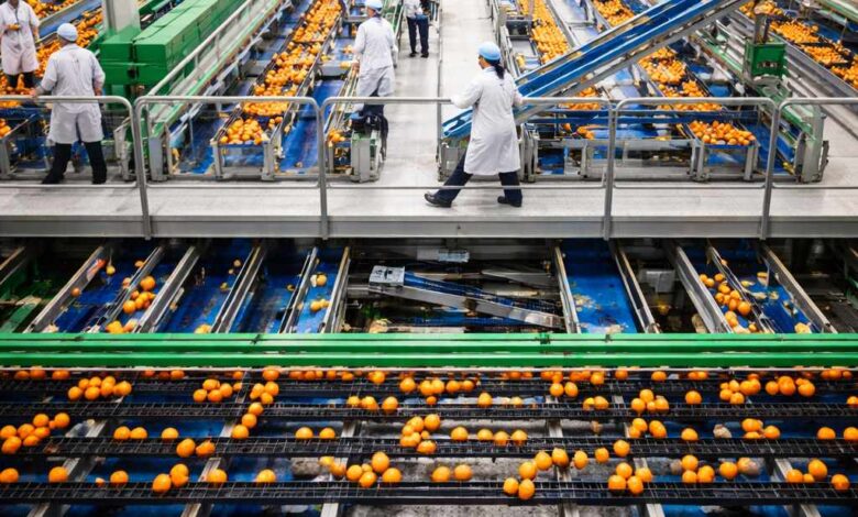 مبادرة دعم قروض القطاعات الصناعية