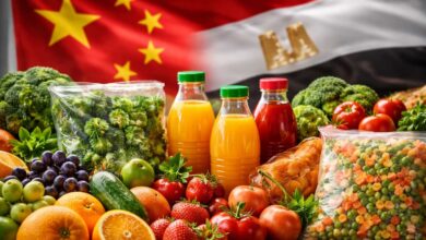 صادرات الصناعات الغذائية المصرية إلى الصين
