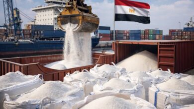 وزارة التموين تحدد تعليمات الزامية لإعادة تصدير السكر في مصر