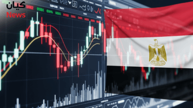 أسهم مصرية أقل من قيمتها العادلة فرص استثمارية محتملة