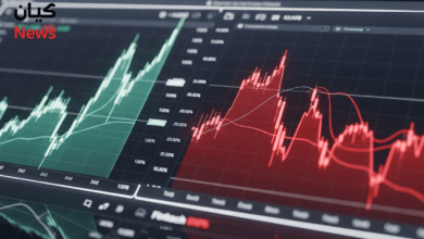 فهم دورة صعود وهبوط الأسهم وكيف تحدد موقع السوق