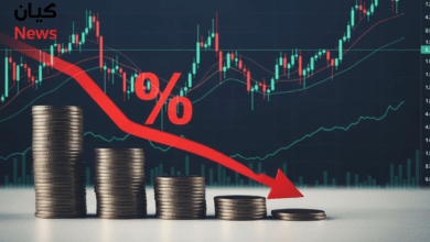 ما الأسهم المستفيدة من خفض أسعار الفائدة عالميًا؟