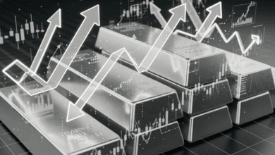 مخاطر الاستثمار في الفضة وكيفية تجنبها