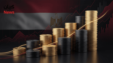 أفضل صناديق الاستثمار للمبتدئين في مصر 2026